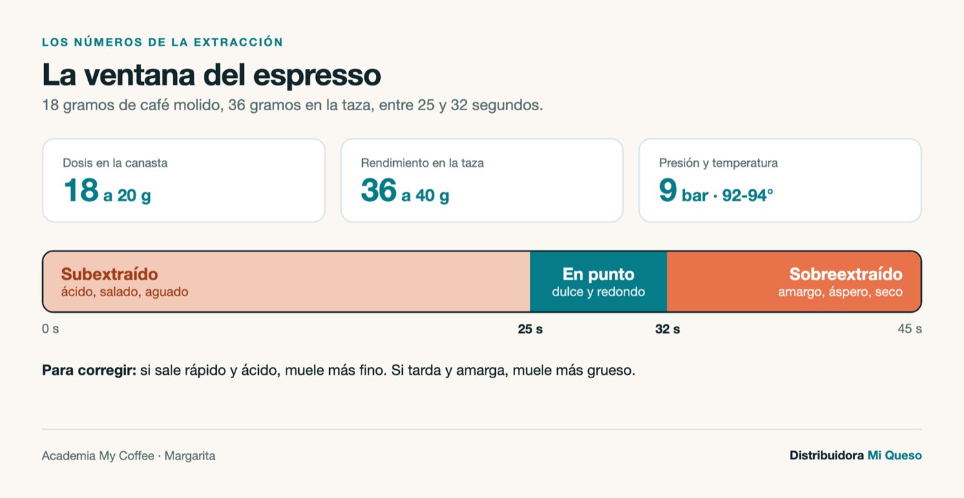 Los números del espresso: 18 a 20 gramos de dosis, 36 a 40 en la taza y la franja correcta de 25 a 32 segundos